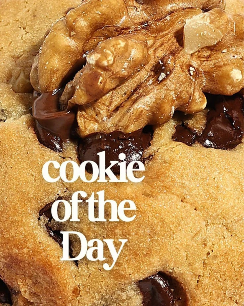 Toasted Walnut Crunch Red Velvet Cookie (70gm)